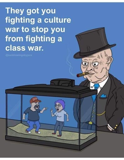 Capitalist pig watching MAGA and Liberal fighting in a tank."They got you fighting a culture war to stop you fighting a class war."